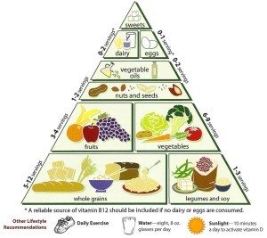 Loma_Linda_University_Vegetarian_Food_Pyramid-300x267